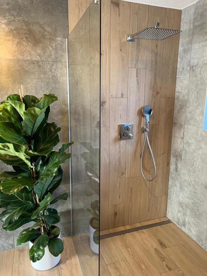 Vila Dvorecna Villa Loucovice Luaran gambar