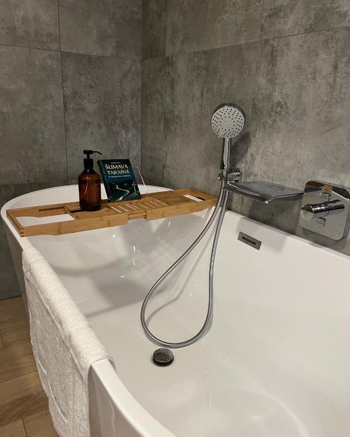 Vila Dvorecna Villa Loucovice Luaran gambar