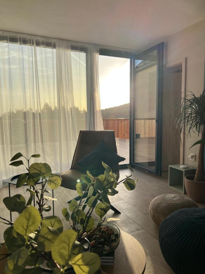 Vila Dvorecna Villa Loucovice Luaran gambar
