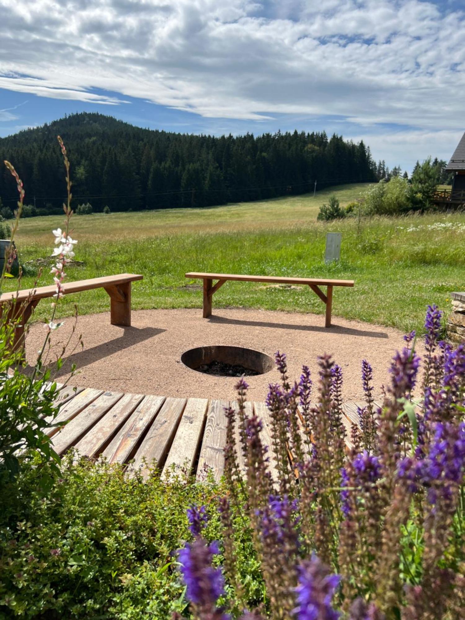 Vila Dvorecna Villa Loucovice Luaran gambar