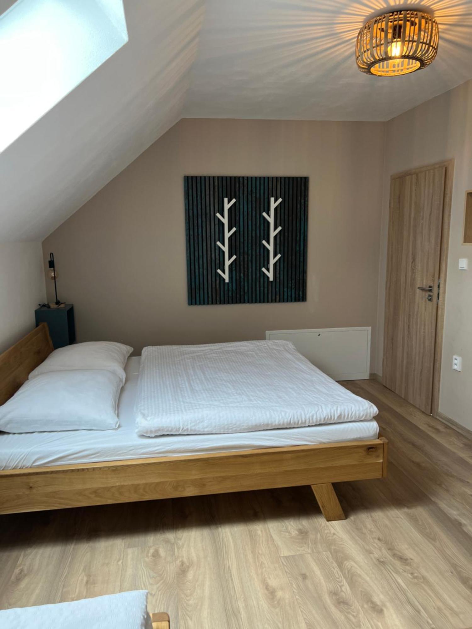Vila Dvorecna Villa Loucovice Luaran gambar