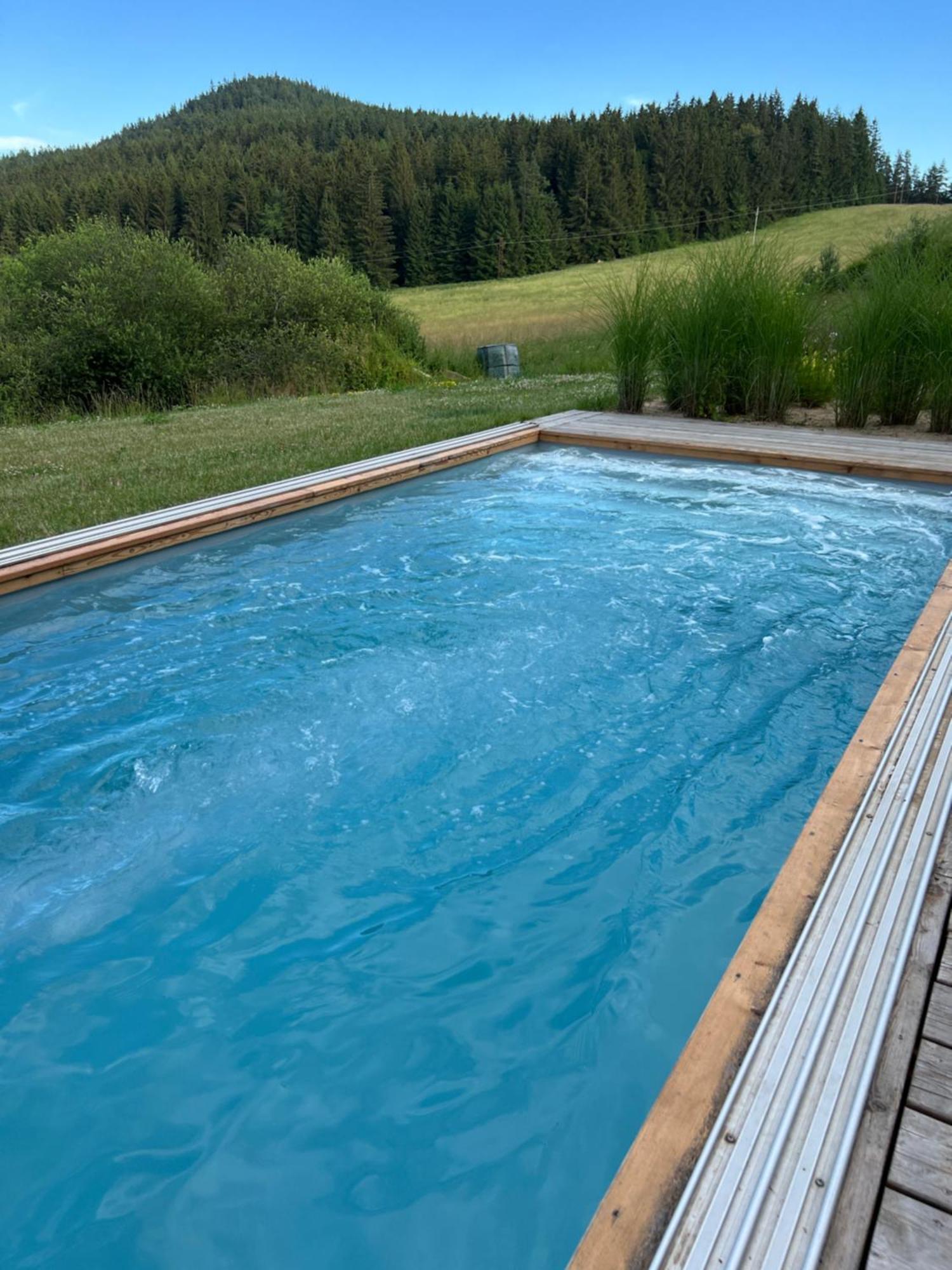 Vila Dvorecna Villa Loucovice Luaran gambar